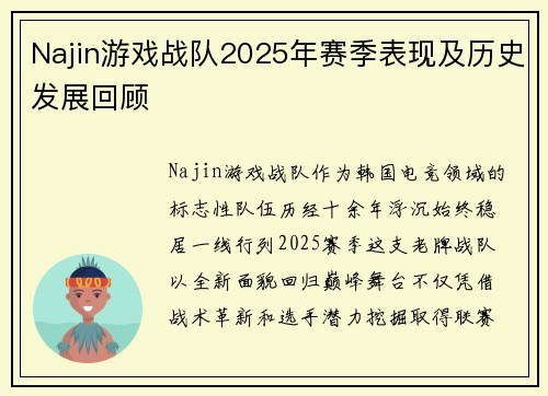 Najin游戏战队2025年赛季表现及历史发展回顾